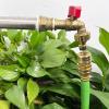 imageGarden Hose Quick Connect Brass Hose Quick Connectors Water Hose Connector 34quotGTH 3 Female Coupler 6 Male NipplesLead Free 6 Sets