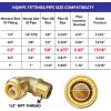 imageHQMPC 34quot Pex Fittings No Lead Female PushFit Elbow 90Degree PEX Fitting 34quot 90 Degree Elbow PushtoConnect Plumbing Fitting for Copper PEX CPVC 6pcs 34quot 6