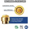 imageHQMPC 34quot Push Fit PEX End Cap PushtoConnect Brass Plumbing Fittings No Lead Brass Plumbing Fittings with Disconnect Clip for Copper CPVC 2Pcs12