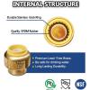 imageHQMPC 34quot Push Fit PEX End Cap PushtoConnect Brass Plumbing Fittings No Lead Brass Plumbing Fittings with Disconnect Clip for Copper CPVC 2Pcs2