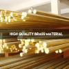imageHQMPC Brass Fitting Gas Connector Gas Adapter Union Brass Tube Coupler Pipe Flare Fitting 38quot FlareX38quot Flare 6Pcs12