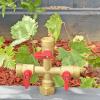 imageHQMPC Hose Splitter  HeavyDuty Brass Garden Faucet Connector Garden Hose Splitter 4 Way 34quot GHT Thread Red Handle3 Way Hose Splitter