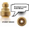 imageHQMPC Push Fit PEX Fittings Straight Coupling 12quotx1 PushtoConnect Copper CPVC No lead Brass Plumbing Fittings 6PCS 12quotx1quot2