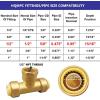 imagePex Fittings Tee Female 12quot Push Fit Female Plumbing Tee No Lead PushtoConnect Plumbing Fittings Brass Pipe Connector T Fitting for Copper PEX CPVC 2Pcs6