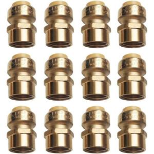 imageHQMPC 12quot Pex Fitting Straight Coupling Push Fit PEX Fittings Female PushtoConnect Copper CPVC No Pb Brass Plumbing Fittings 6 PCS 12quot12